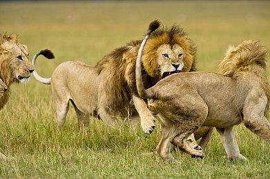 《战地6》战斗机高能时刻：官方手把手教你重现《壮志凌云2》精彩操作